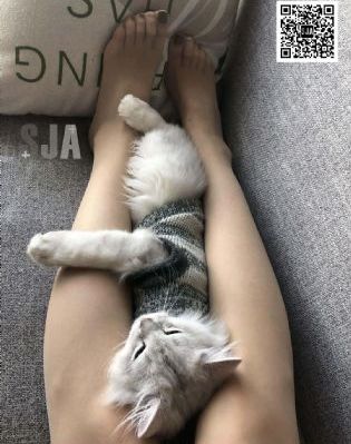 国产配方奶粉_剧情片高清在线观看