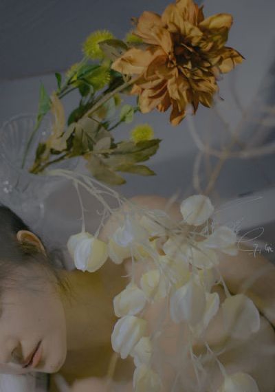 欧美人交人与狗_BD手机在线看